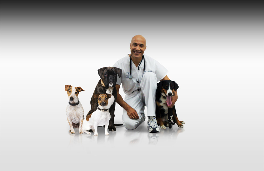 vétérinaire à Mies Dr Omaboe and dogs